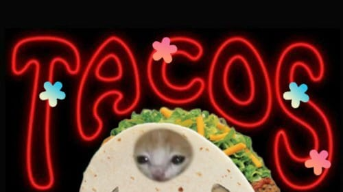 Soft tacos