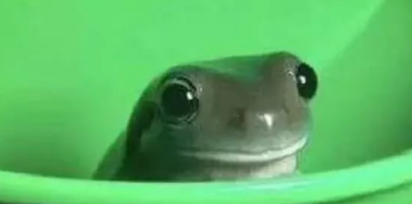 The party crewのバナー