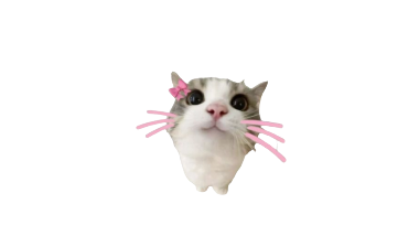 KITTY SHELTER 18のバナー