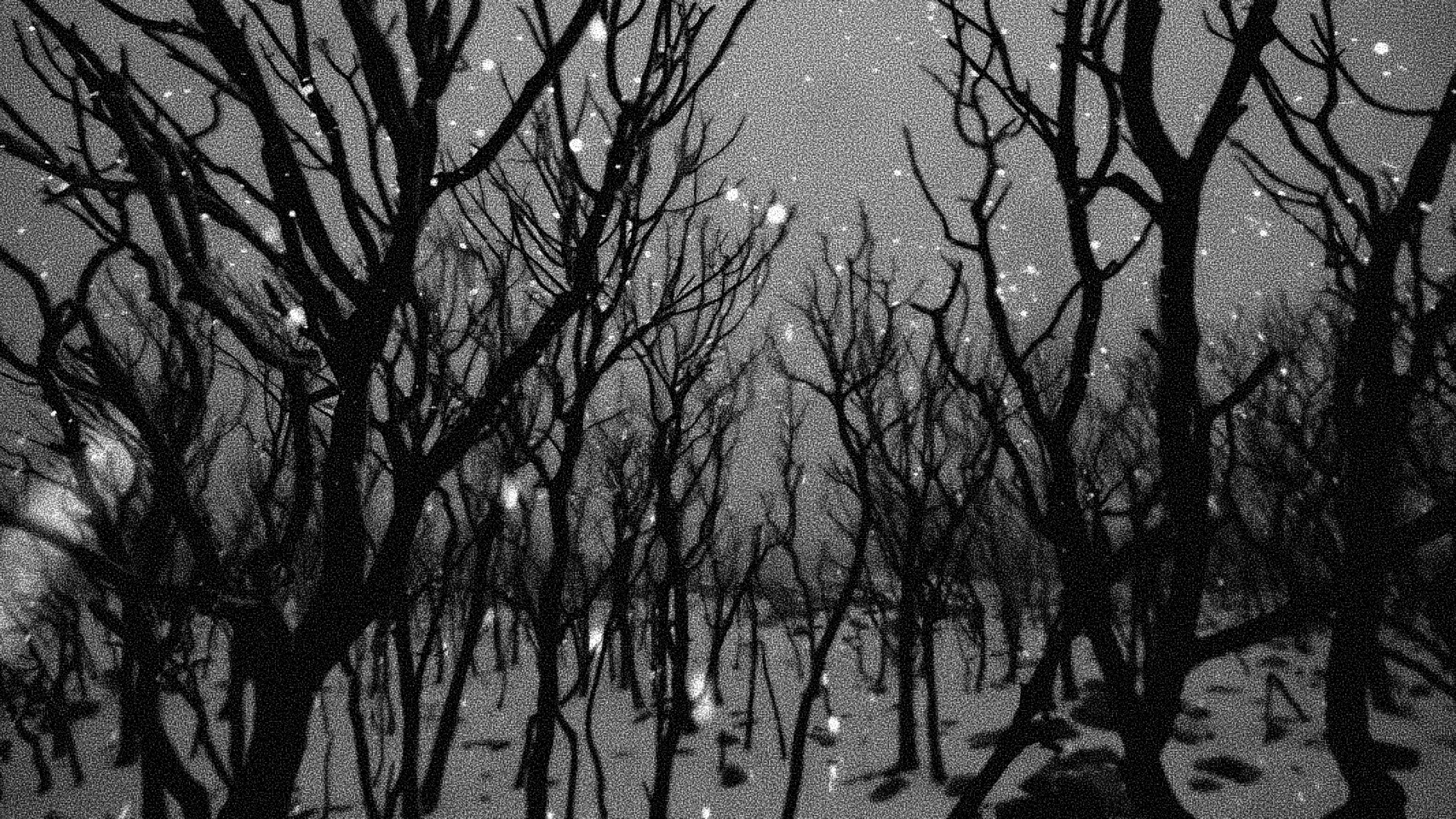 Dark Winterのバナー