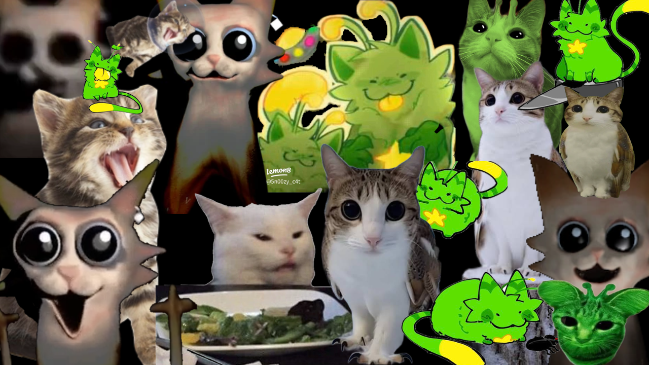 Verified Meme Catのバナー