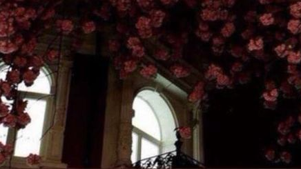 The Rose Cityのバナー