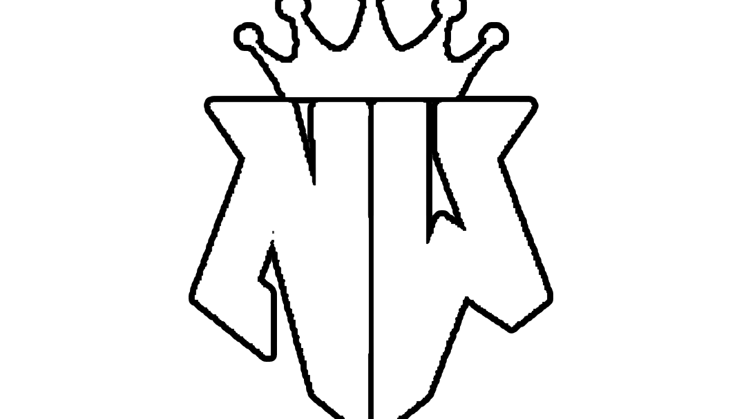 New Wave Nation