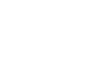 Wild Seven