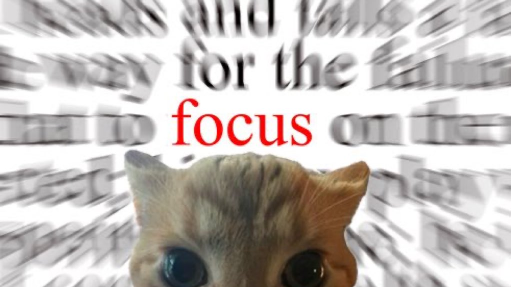 FOCUS