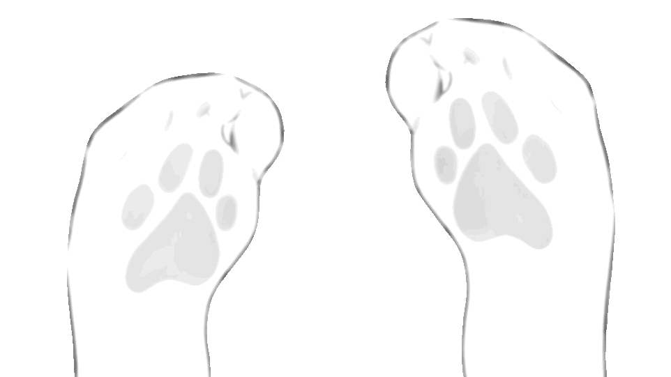 ocelotのバナー