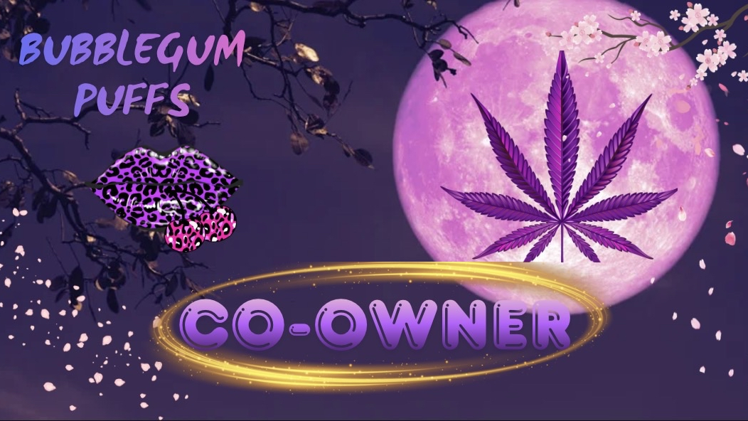 Bubblegum co-ownersのバナー