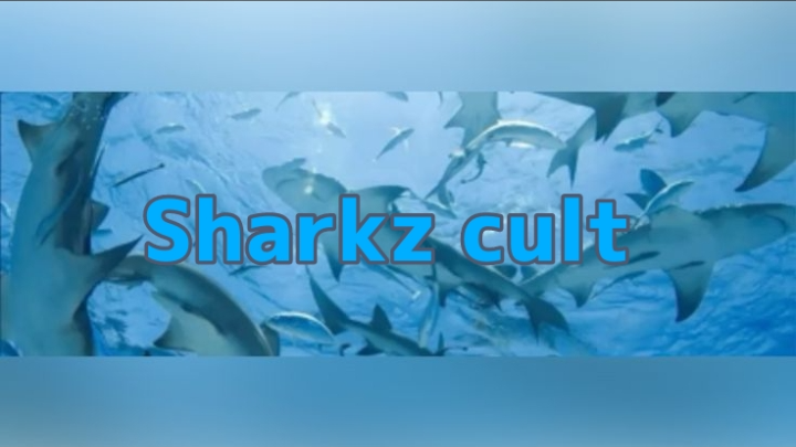 Shark cultのバナー