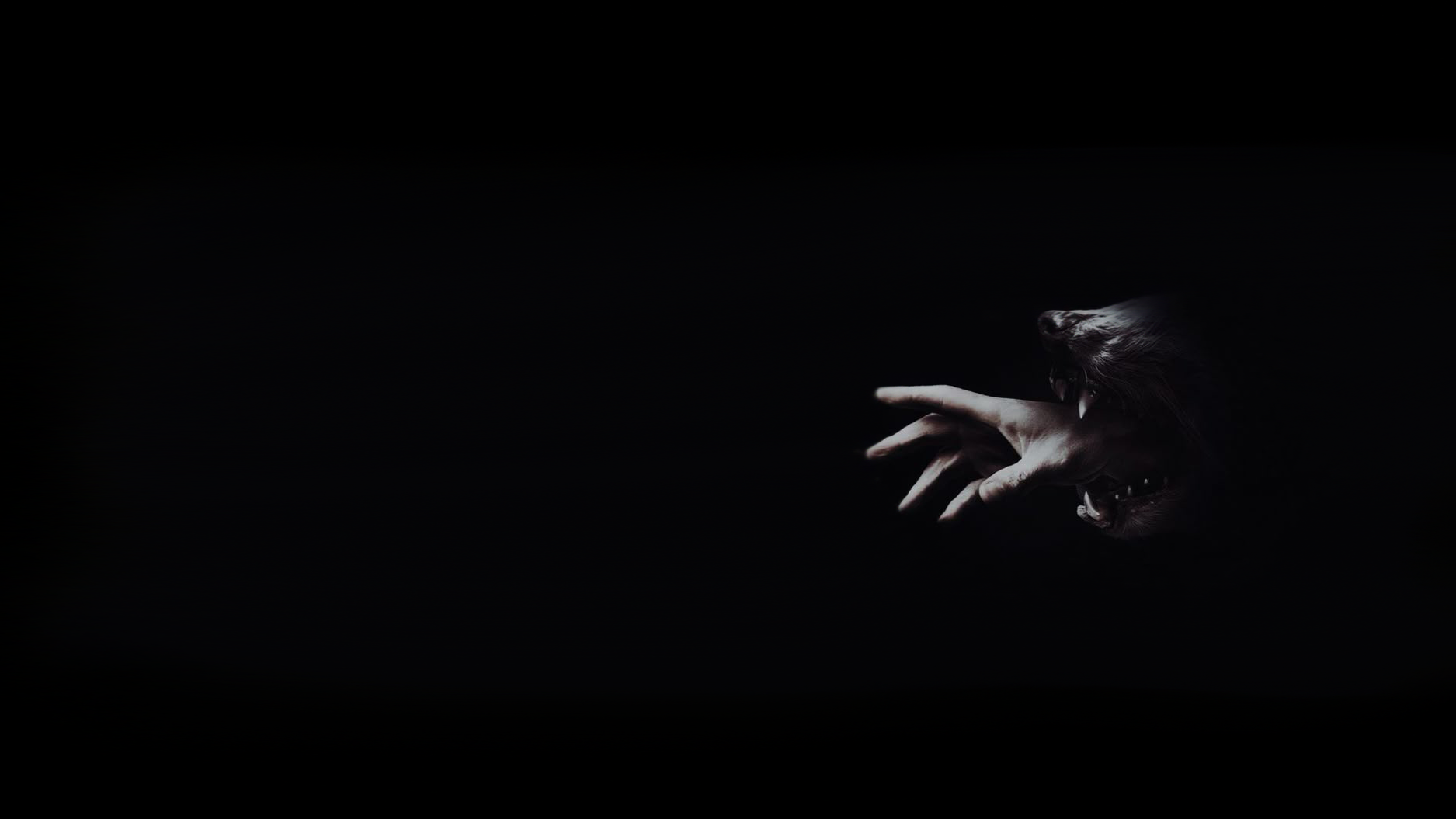 She Wolfのバナー