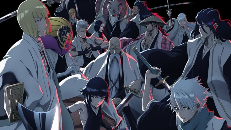 the gotei 13 captainsのバナー