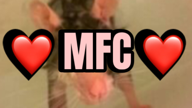 Mayos Fav Condimentsのバナー