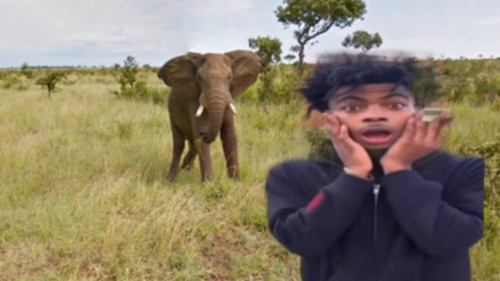 Kenyaのバナー