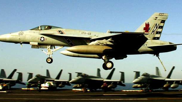 VFA-22 FIGHTING REDCOCKSのバナー