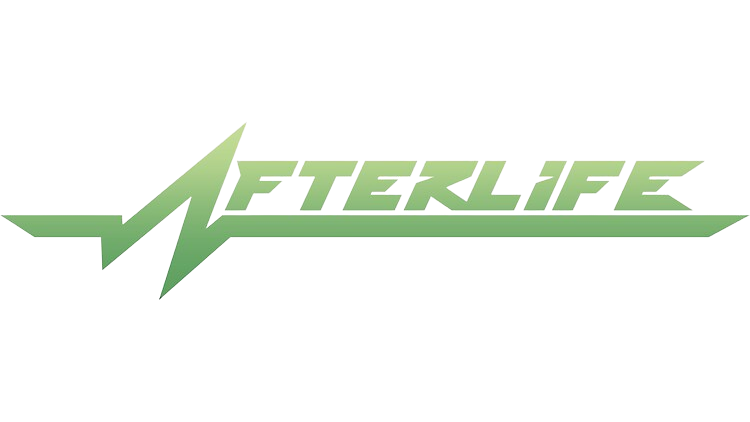 The Afterlife