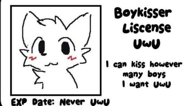 Certified Boykisserのバナー