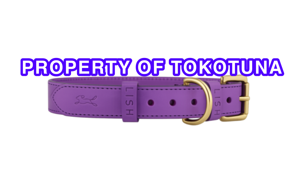 Property of TokoTunaのバナー