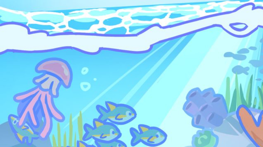 Blue Shark Activitesのバナー