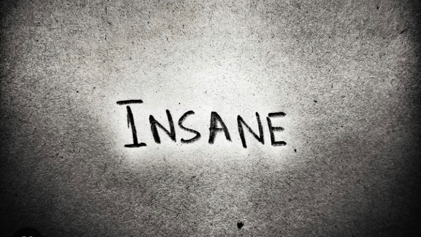 The insane asylumのバナー
