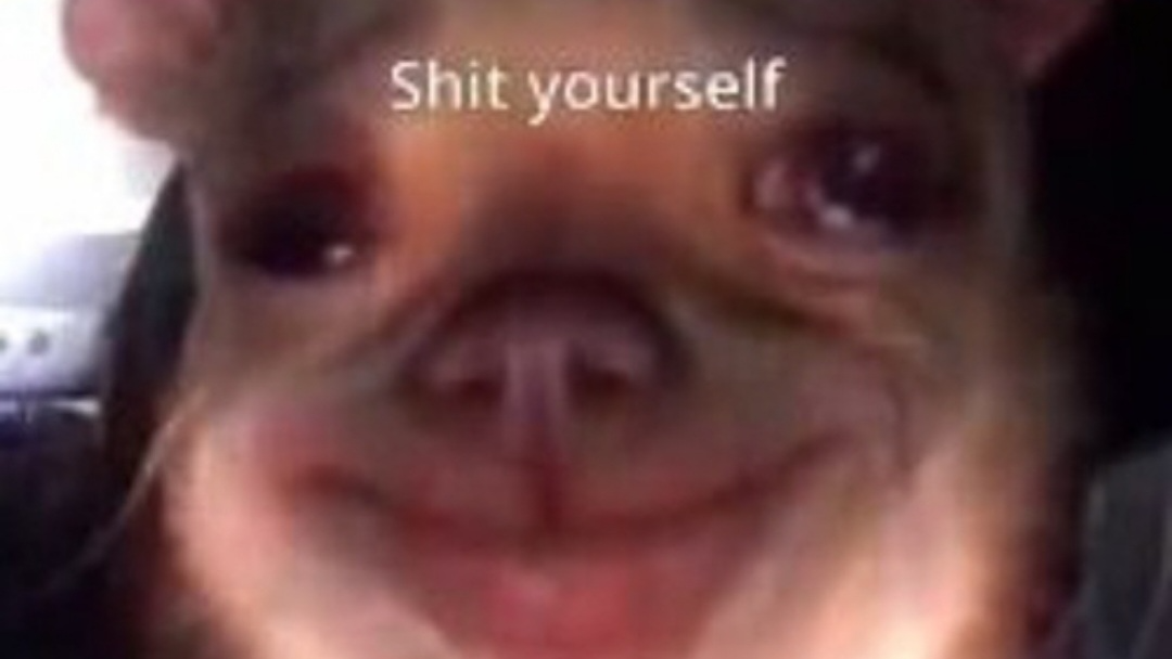 Catswithautism