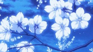 Azure Alliance Blue Skysのバナー