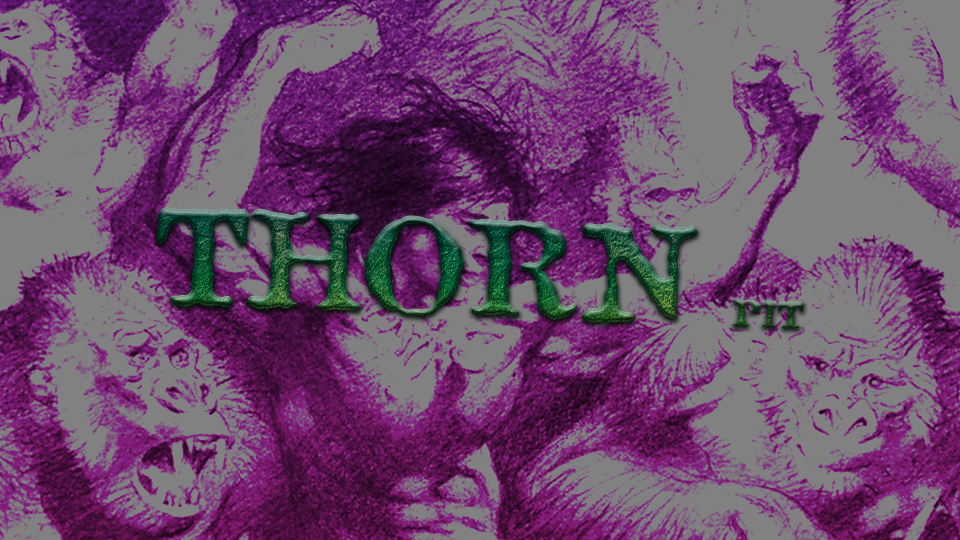 THORN PITのバナー