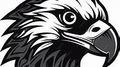talon boxing pro to eliteのバナー