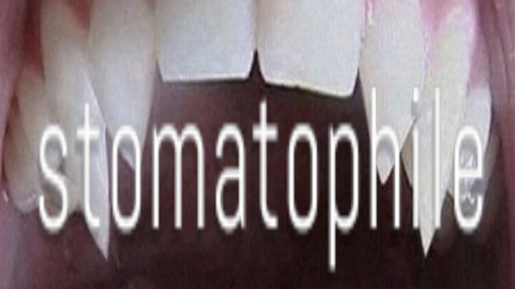 Stomatophileのバナー