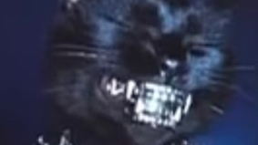 BLACKED OUT LIKE A PHANTOMのバナー