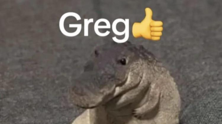 Gregのバナー