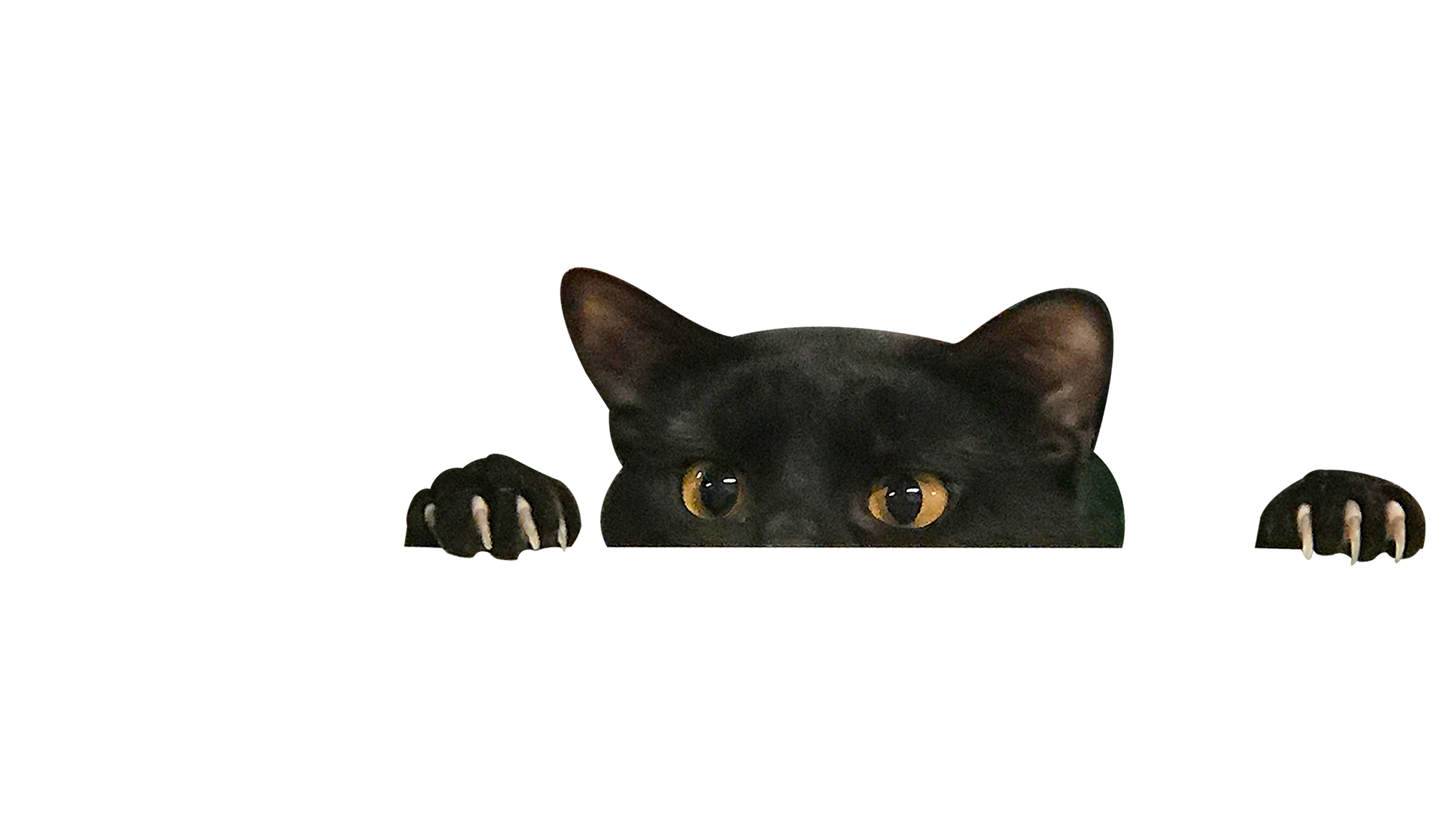 xCatx
