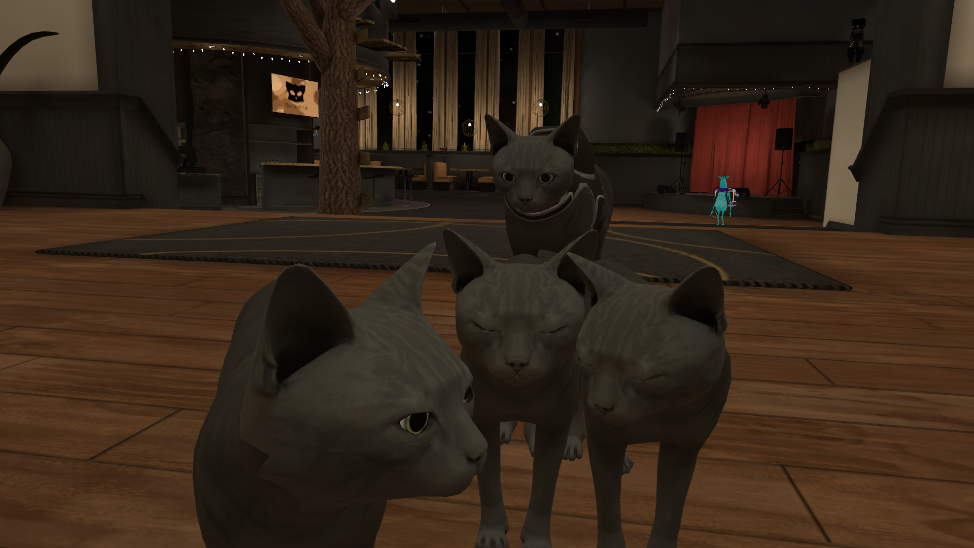 Cat revolutionnnのバナー