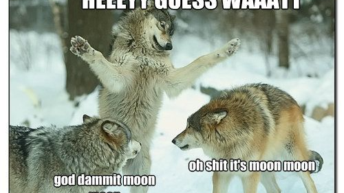 Moonmoon wolvesのバナー