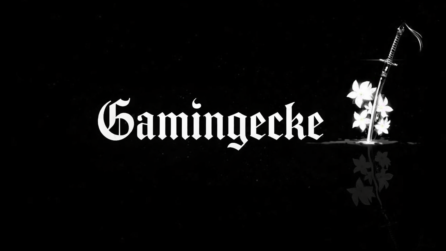 Gamingeckeのバナー