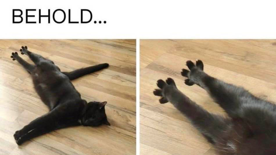 Court of ashen wingsのバナー