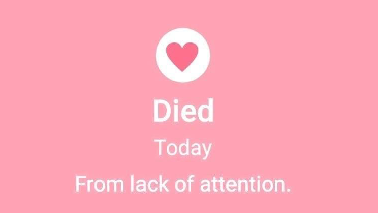 UwU