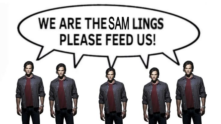 Samlingsのバナー
