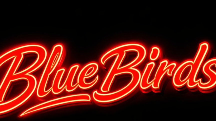 The Official Blue Birdsのバナー