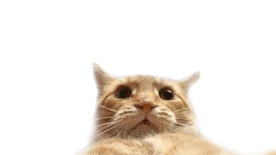 Lazy Goblin