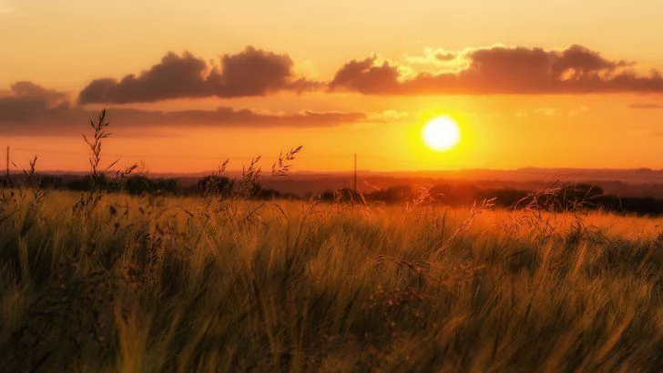 Sundownのバナー