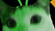 Glorbiansのバナー