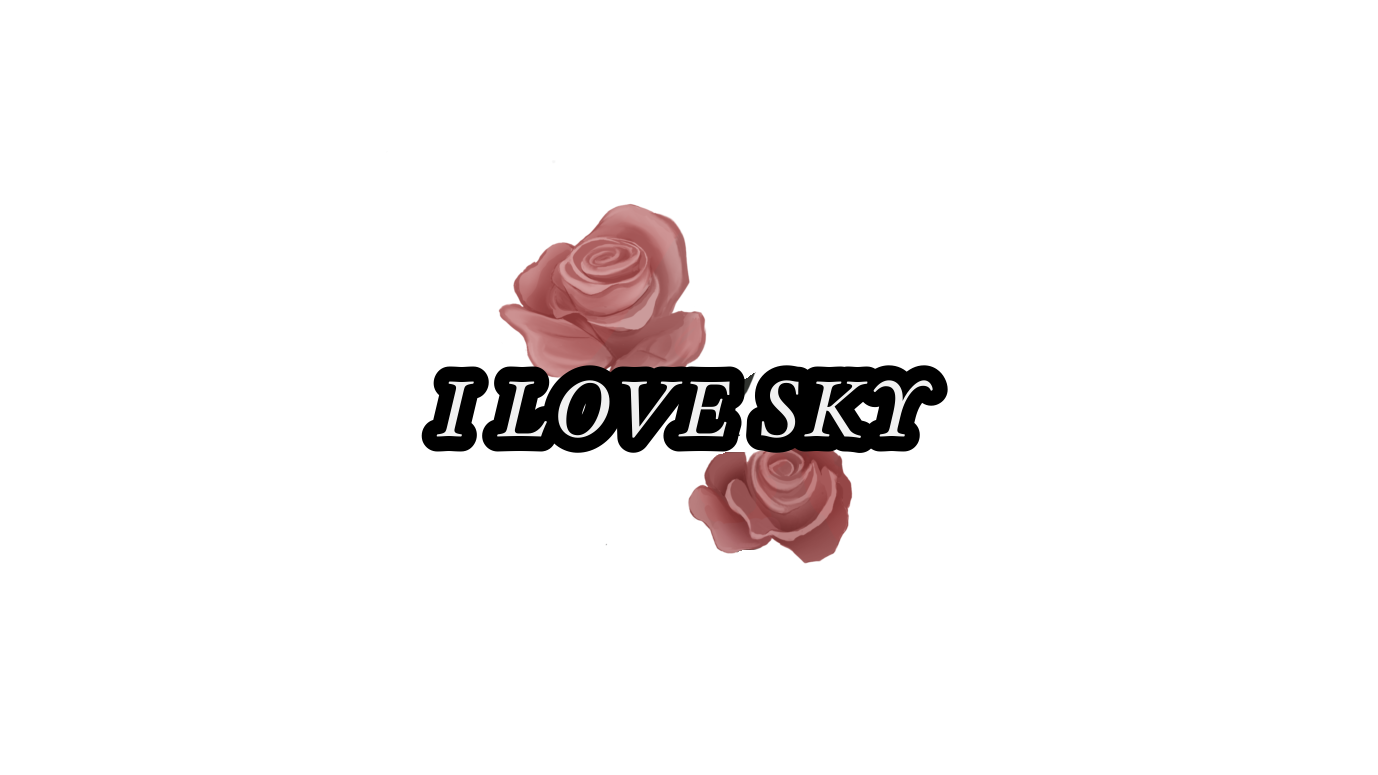 SKYYYYYYYYのバナー