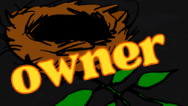 The Nest Ownerのバナー
