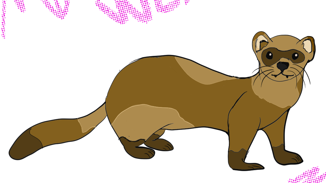 Mustelid Mayhemのバナー