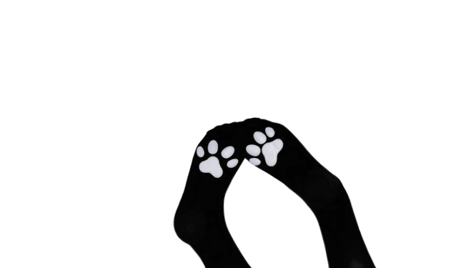 pawszのバナー