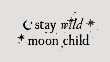 Stay Wild Moon Childのバナー