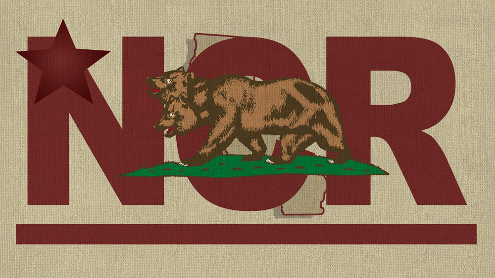 The new California republic remantsのバナー