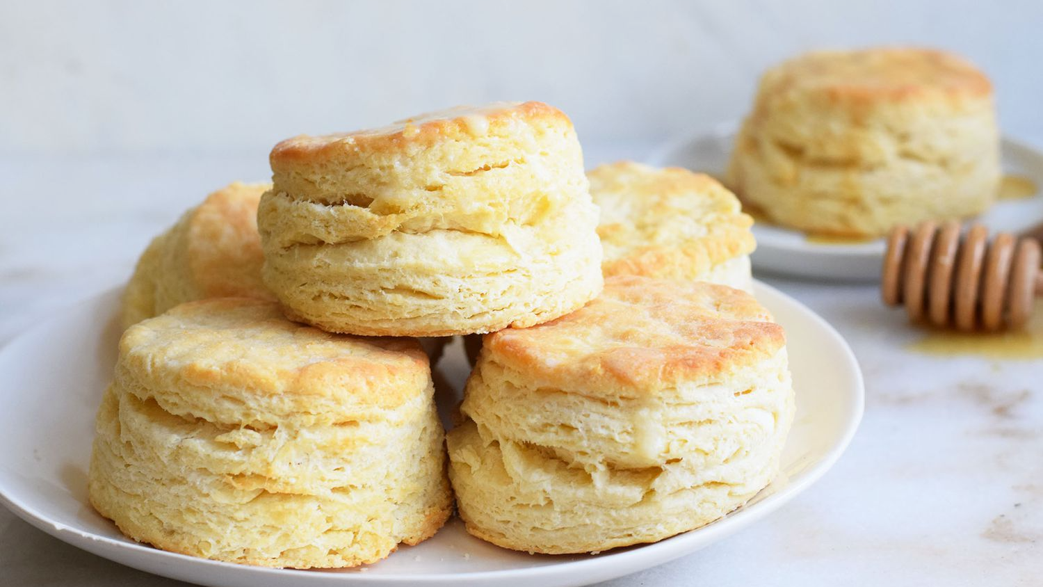 Biskits twinsのバナー