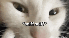 Verified sniffer