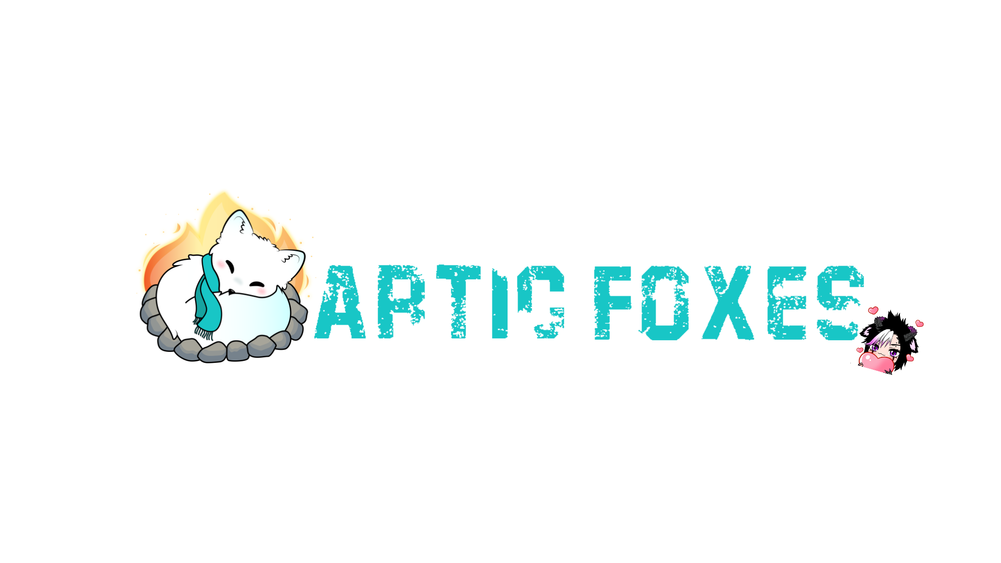 Artic Foxesのバナー