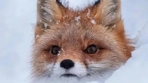 Zoned out afのバナー